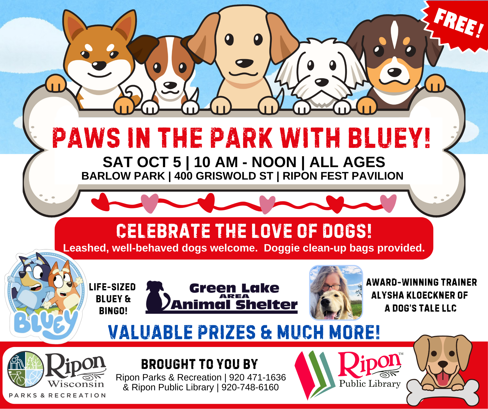 PAWS IN THE PARK WITH BLUEY!