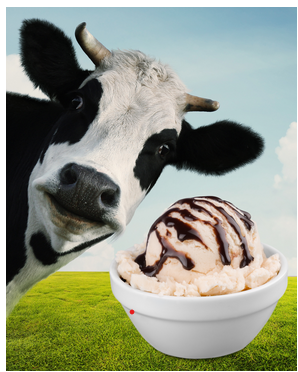 WE ALL SCREAM FOR ICE CREAM!